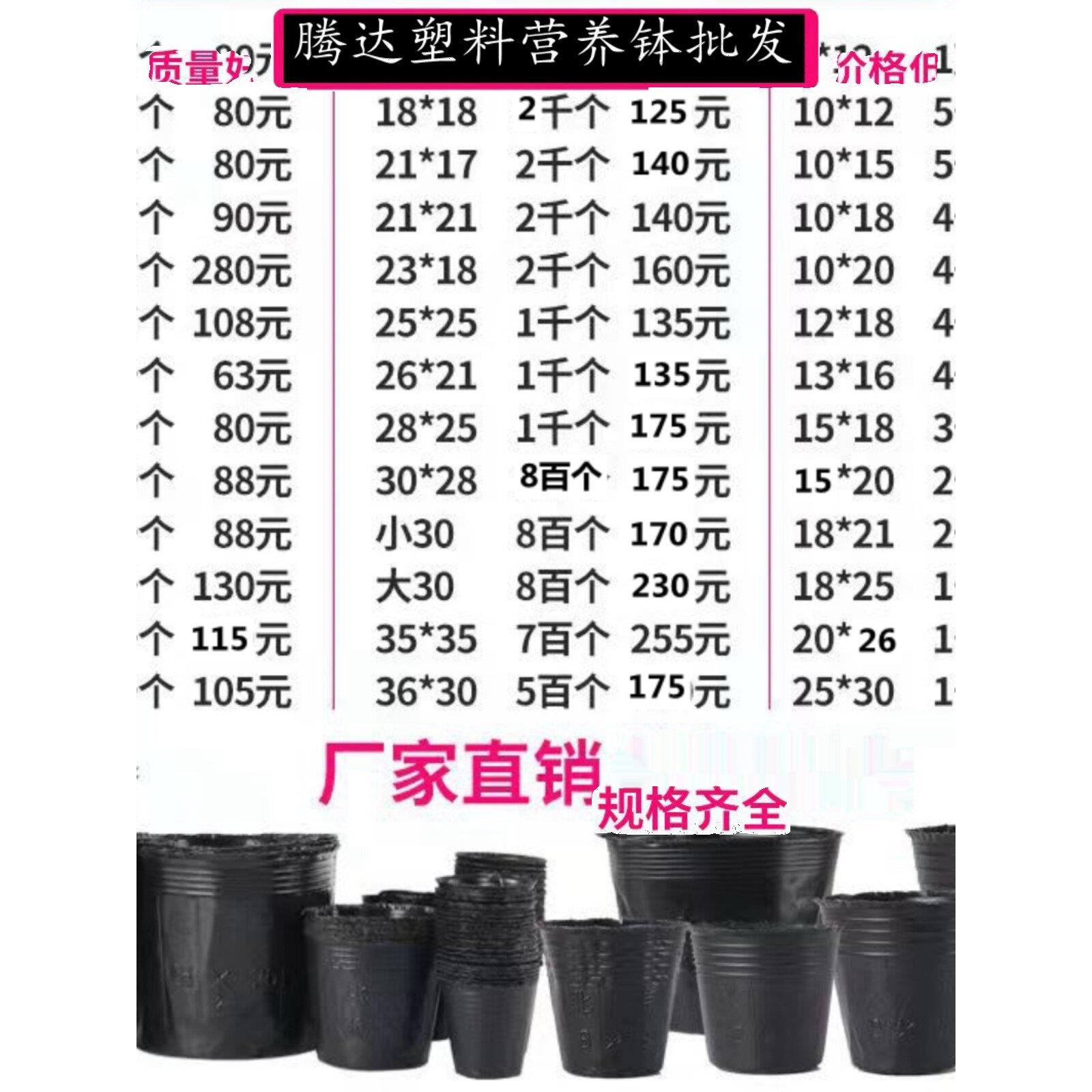 营养杯育苗杯营养碗育苗盆塑料加厚一次性农业营养袋育苗袋花盆大