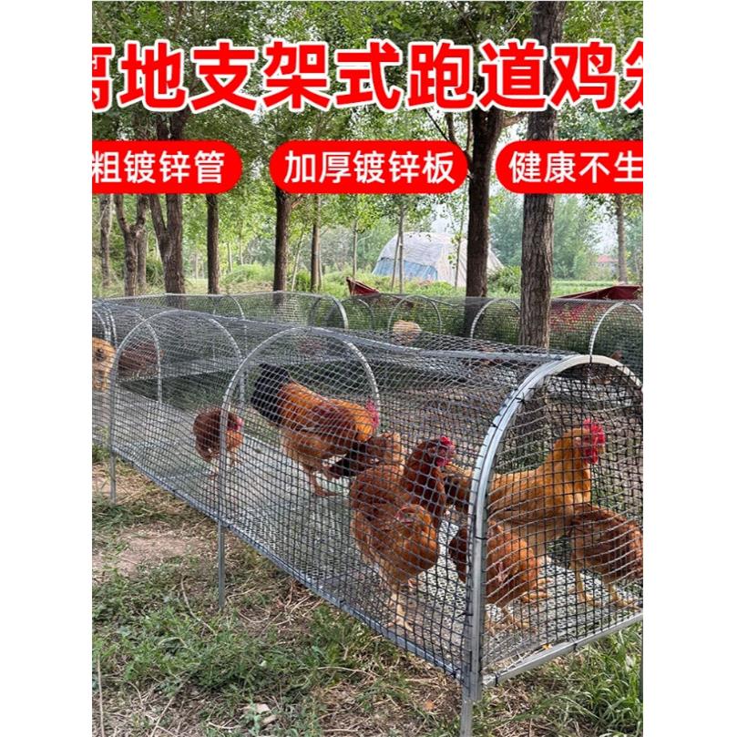 第二代可折叠养殖鸡舍鸡牛津围栏网鸡笼防腐防锈户外鸡隧道跑笼