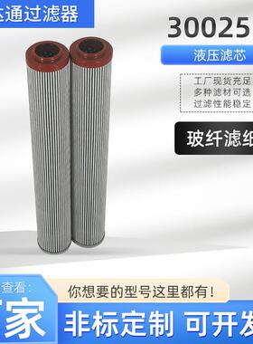 玻璃纤维滤芯0025501.E450.10VG.0.E.P.液压油滤芯