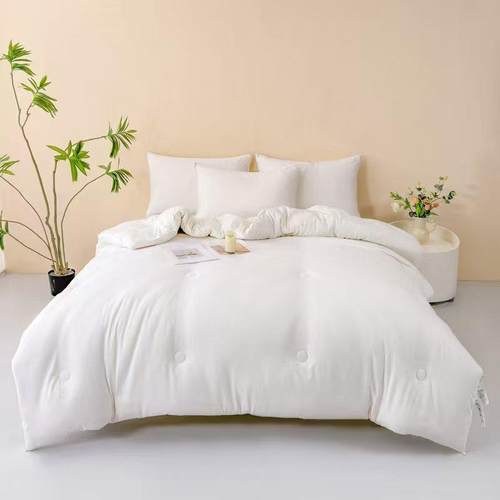 A类母婴级全大豆被被加厚棉冬被一春秋被二CXS1-1合子母被纯棉保