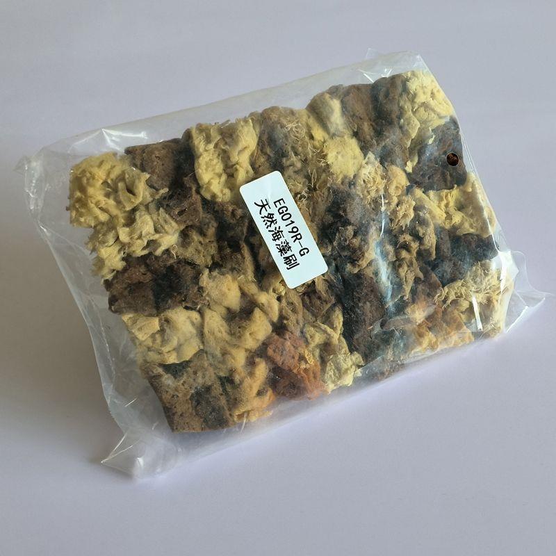 壳拍天然海藻藻艺术GQH涂料万用艺术漆硅泥贝粉工具三色珠光