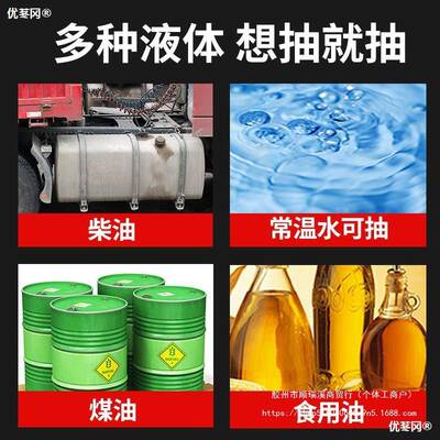 油水两用电动抽油泵12V220V24V伏直流高压水泵柴油泵加油机抽油器