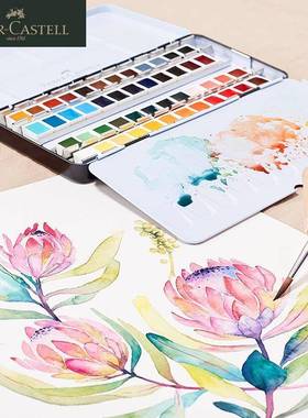 德辉柏嘉半干固体水彩铁盒装学颜料色国学无品牌/生初者绘画24色3