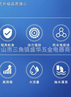 水泵20v家用小型抽泵化粪水池抽水抽粪潜JUG排污泵泥浆高扬2程潜