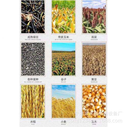 电柴两用家用用脱粒米机稻麦yc-700打场机小型打谷机大豆玉打粒多