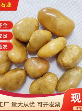 黄色抛光鹅卵EJU石鱼缸饰水景池垫底头石装园林观庭院造景雨花石