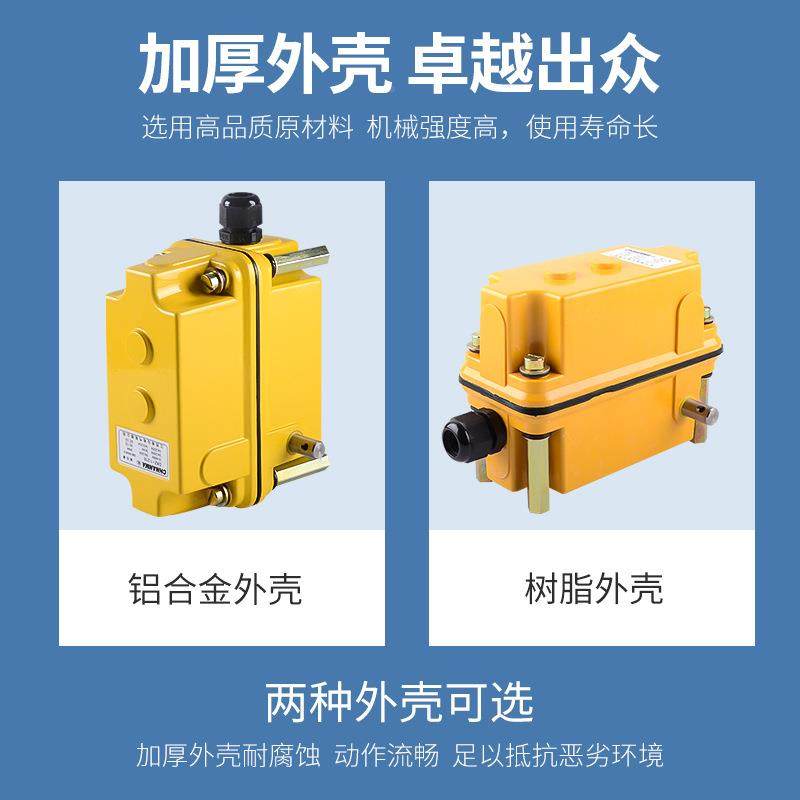 南7马DXZ多功能D行程RYH限位器DXZ-1:60起限升高度制器XZ-1:274/8