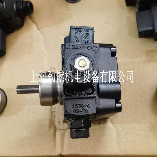 SUNETC油AS47A1534626-6桑泰克齿油轮泵利雅路百得燃泵烧机用柴泵