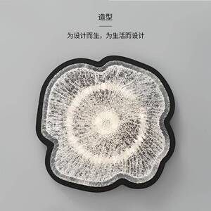 意式全极简客23561厅光谱吸顶灯现代高端花民艺宿家朵用主卧室术