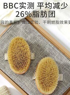 体皮干刷肤WRV刷酸磨砂膏洗澡刷子米兰达可儿美体刷身猪鬃沐