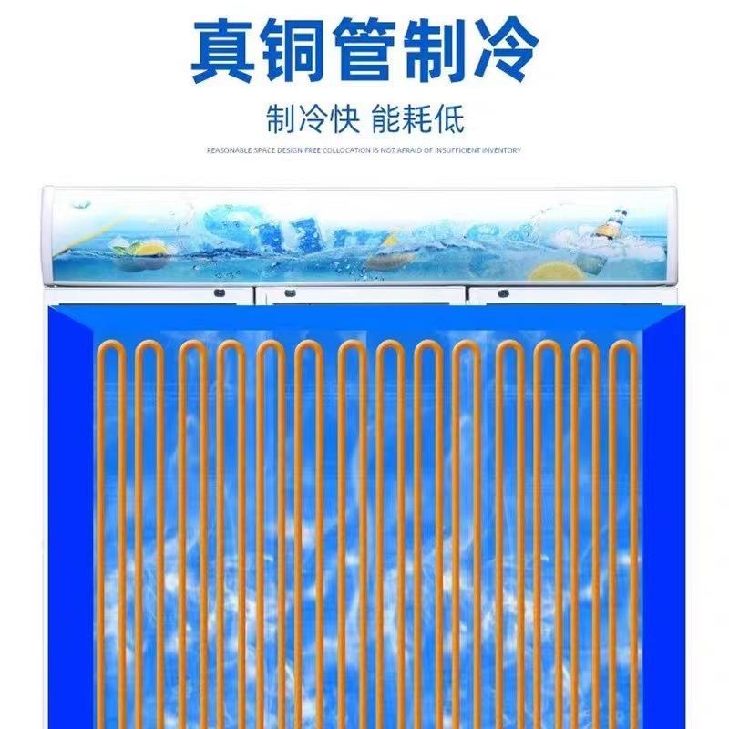 蔬菜水果立式冰料柜便835店单双门箱饮啤酒冰展示柜商用冷藏利保