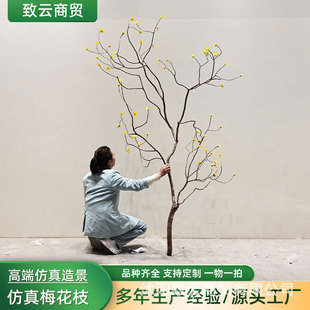 仿真梅花枝天然干树枝造型枯树干支橱窗装饰拍摄道具插花造景枯枝