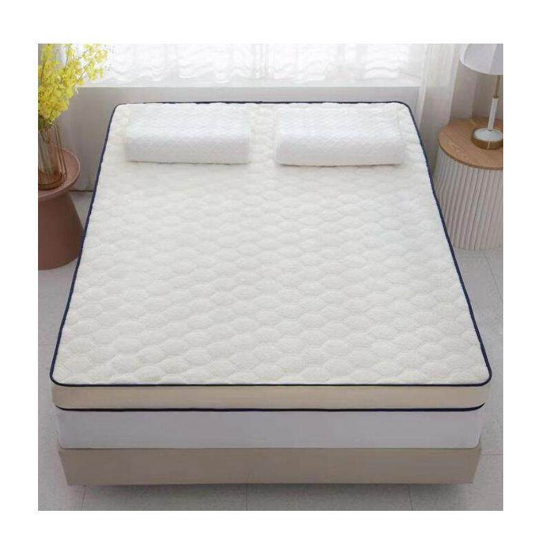 四季款床家用加厚软垫学生舍单垫双人榻榻米海绵垫IDG褥床垫子铺