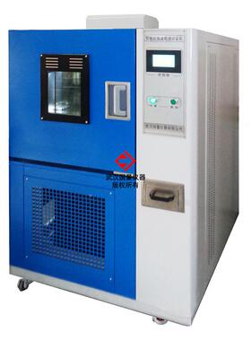 量仪器Y751A国霉菌GTN培养箱实室验霉菌G培养机可编程恒温恒湿试