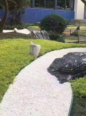 色鹅卵石石头雨花石庭院造装修RUU白色石子园林景白观小景石头