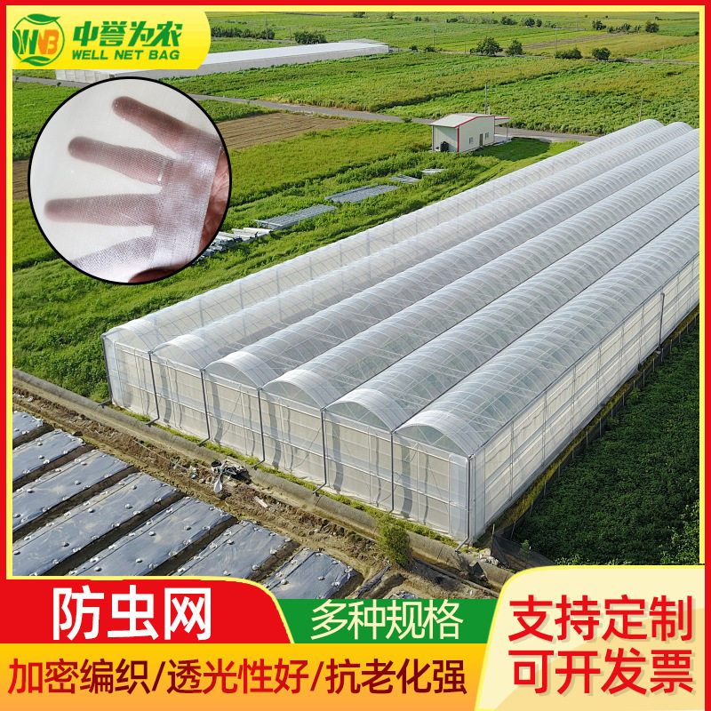 聚乙烯防虫网大棚防虫网蔬菜防虫网罩果园蔬菜网植物园艺防虫网