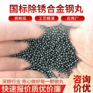 丝抛机喷砂机钢丸砂强化合金钢丸金棱角砂钢切丸不锈钢TEC丸丸属