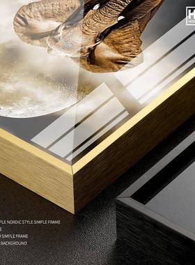 杏福祥瑞美奢JHJCH265轻大象玄关饰画式现代走廊过道酒店竖版晶瓷