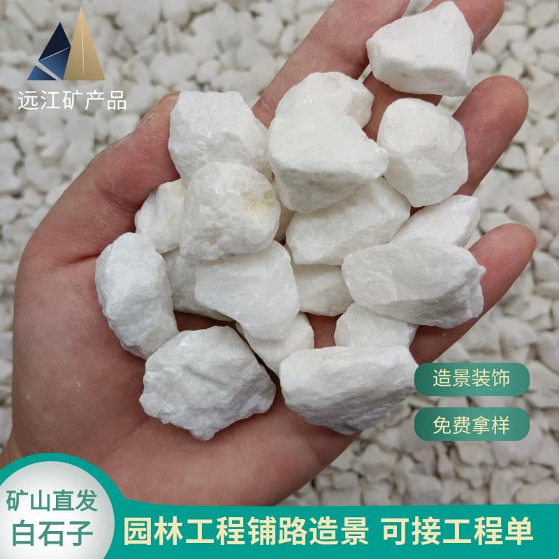 白石鹅卵石园林程工庭院花园装308饰小白石卵石米白景砾园林观石