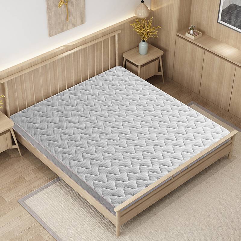 A6L天然儿童椰棕床垫棕垫薄粽垫棕榈床垫折叠家用软垫乳胶席梦思