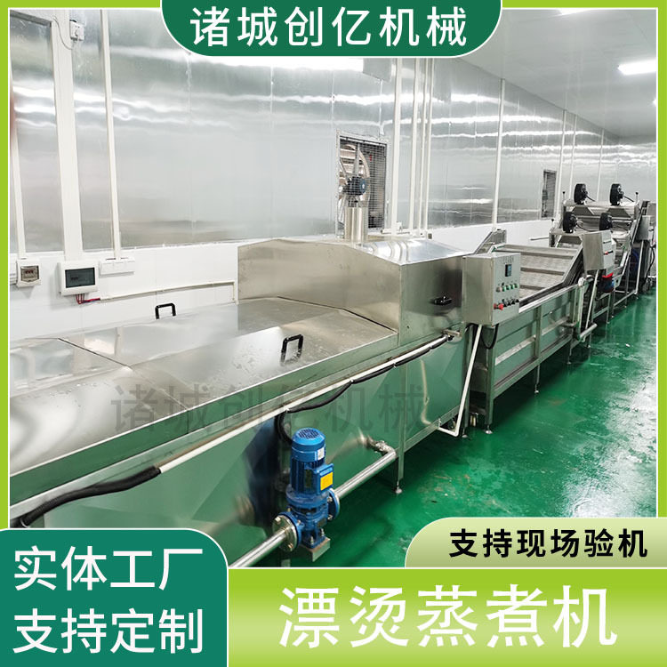 全自动蒸汽果蔬海鲜漂烫蒸煮机