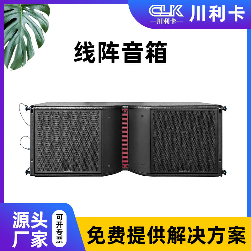 双10寸无源全频线阵音箱套装