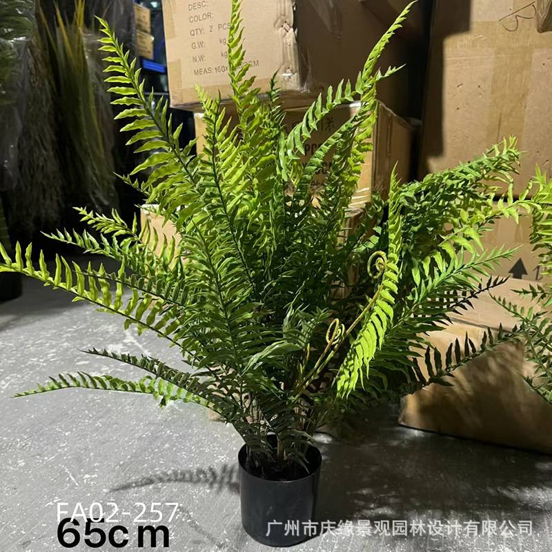 仿真蕨草树盆栽芝萁芒萁叶波斯顿蕨类植物波斯草绿植花园阳台造景