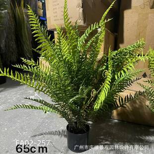 仿真蕨草树盆栽芝萁芒萁叶波斯顿蕨类植物波斯草绿植花园阳台造景