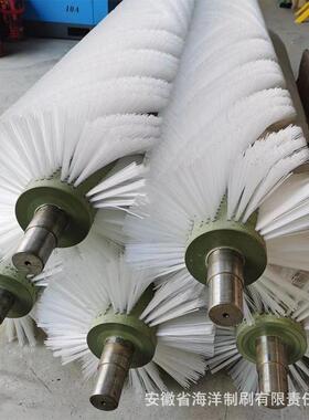 专业生产水果蔬菜清洗毛刷辊玻璃尘清洗滚清筒刷刷抛ZKV光除洁毛