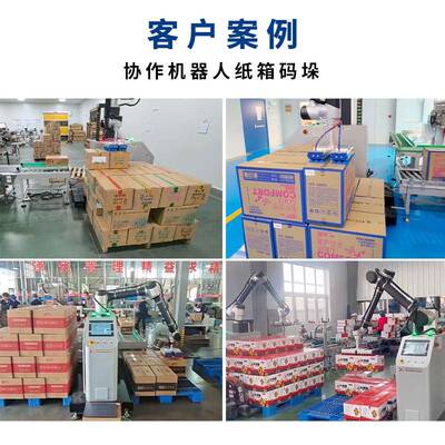 箱码垛机动成都协作机器纸人码垛机3PKY0KG品外箱自封箱成码垛线