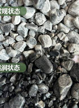 砾石82562颜色齐水洗石庭景观造景院全饰装枯山水石子颗粒大量现