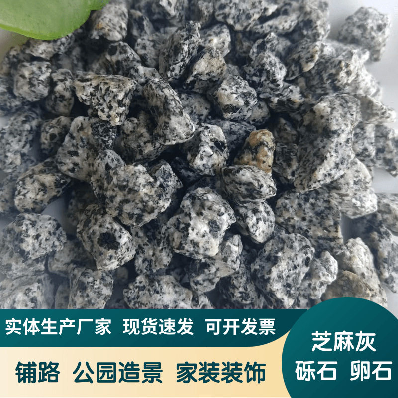 产地直发芝麻灰砾石卵石工程铺路装饰用芝麻灰砾石庭院铺设黑白点