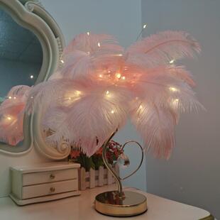 装创意驼鸟羽毛QEI台灯金杆心粉水晶灯翼白色色驼鸟毛卧室床头饰