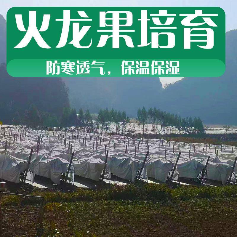 橘FIK果柑用园果树防寒布保温膜防水透气冻育苗农无纺布膜厂家直