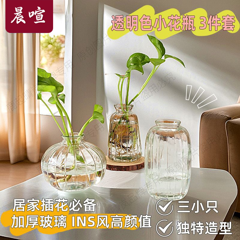 【3只】透明小花瓶北欧ins风璃瓶水培器皿客厅高档创意插花瓶摆件
