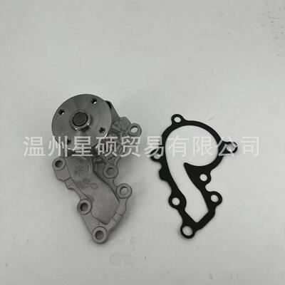 25100-04040适用 现代i20 水泵