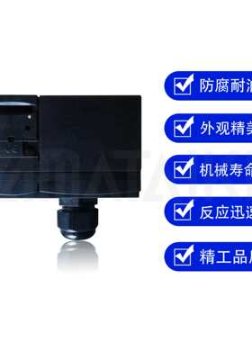 原装安全电磁锁开关 AZM 170-02ZRI-B1 24VAC/DC 替代产品YAM170