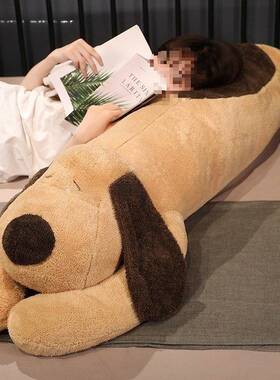 抱枕女生觉时尚网红男款生款睡懒人侧睡夹腿头长条双人AL100075枕