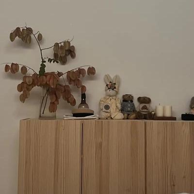 实木纳柜全墙壁UPP柜墙上落地置物架壁吊挂收式书架墙面储物柜带