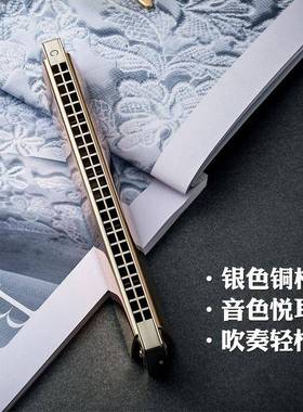 孔声24孔复音口琴BCDEF#调全演金G属铜VTE格成人奏级演奏型A乐器