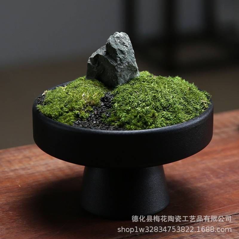 仿生绿植造景苔藓微景观蕨类植物盆栽盆景装饰室内客厅新中式摆件