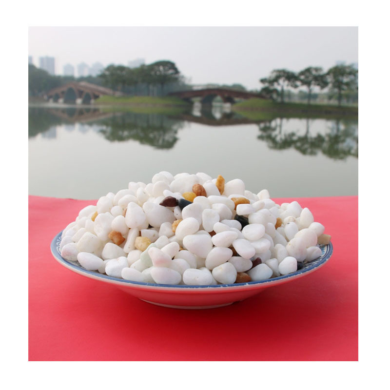 白色鹅卵石园林造景南海桂城直供