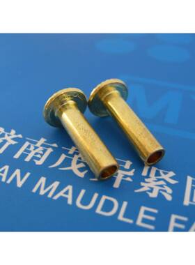 子狮铜DPZ头像半头半圆空心铆钉