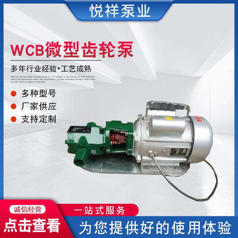 WCB微型泵齿轮GVJ轮WCB手提式齿轮泵微型电动油泵吸力抽齿油泵