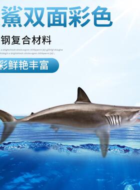 尖洋鲨立体双面玻璃室钢雕塑海工艺品KOX墙壁挂饰鱼仿真鱼模型内