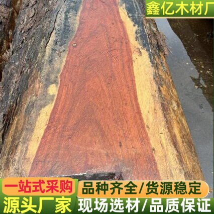 巴拿马阔扁豆 白酸枝阔变豆原木阔变豆木材 南美阔扁豆 阔扁豆木