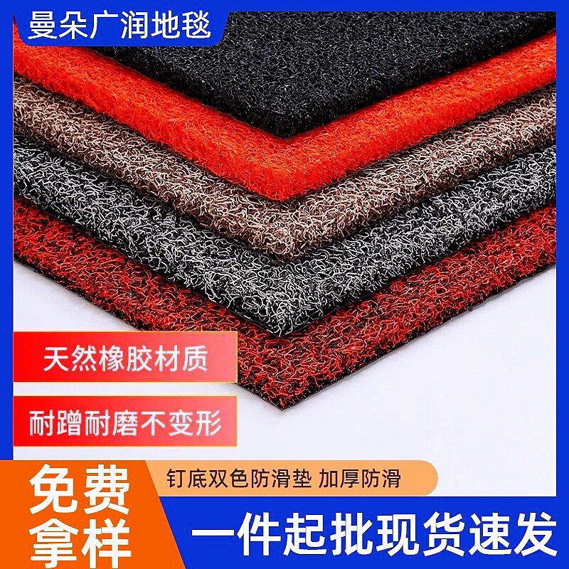 柔软丝圈防滑迎宾入户汽车脚垫