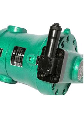 启东海川轴向柱5CY14-1B塞油泵10MCY14-1B2YYC540638032PCY160SCY