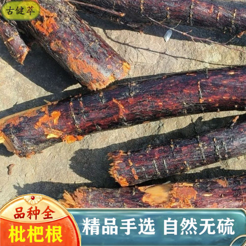 枇杷根中药材500g山枇杷根枇杷纯根干货正品官方旗舰店