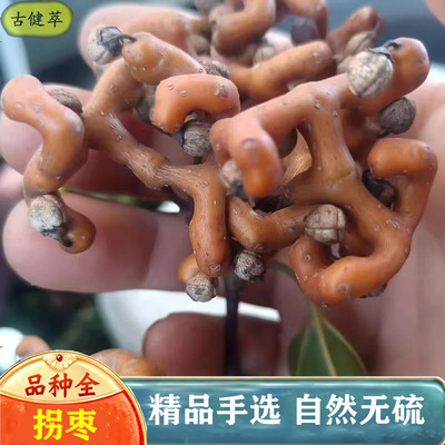 拐枣中药材500g新鲜拐枣干拐枣树果拐枣果万寿果干货泡水泡酒